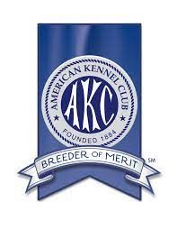 AKC Breeder of Merit.jpg_1683072584
