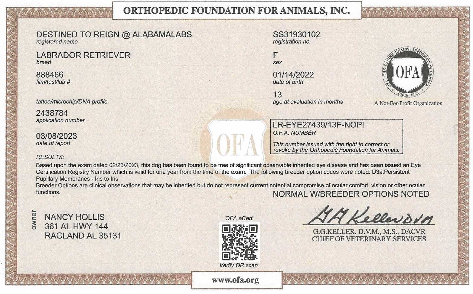 Destiny's OFA Eye Certification (2)