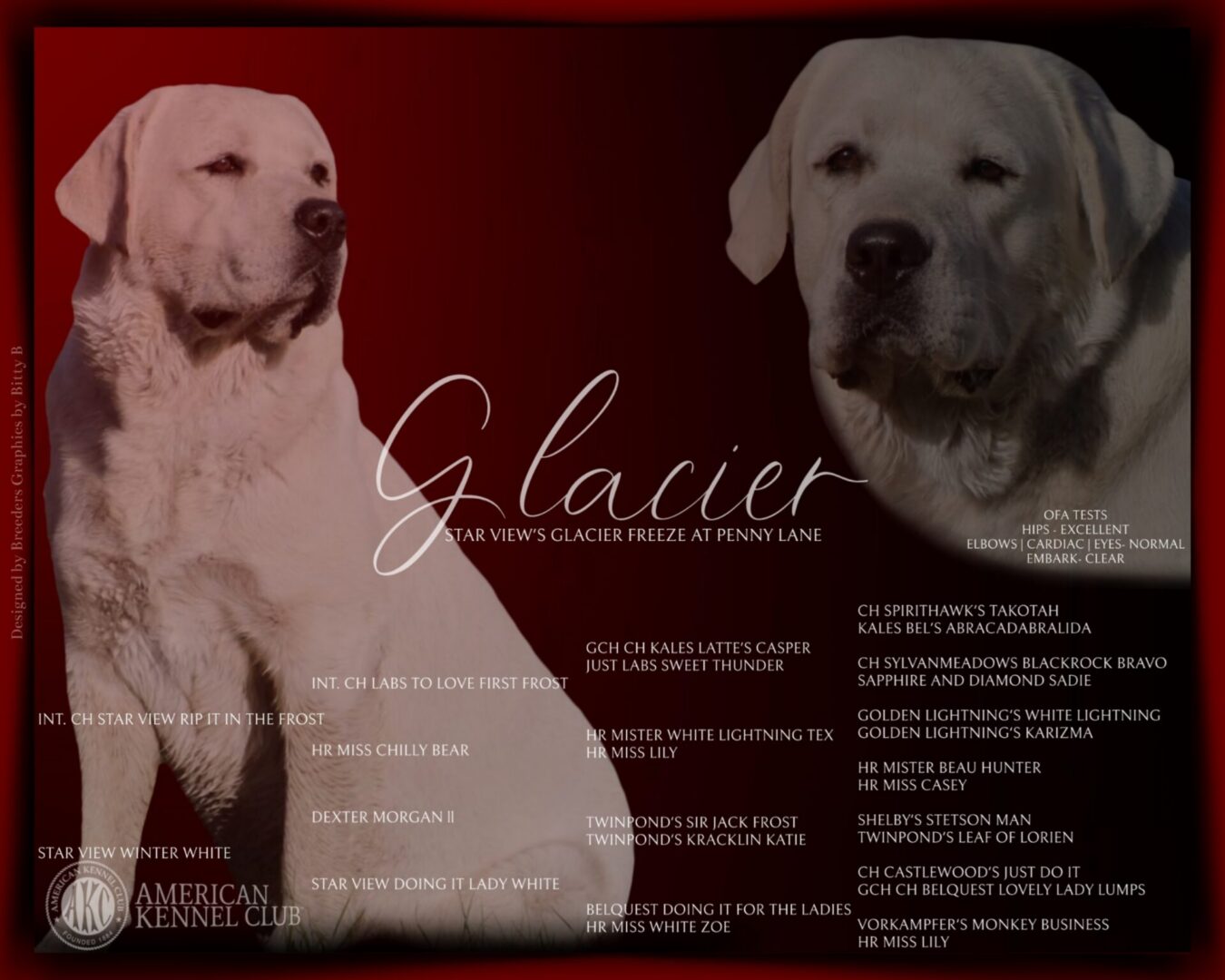 Glacier Stud Graphic w_pedigree (1)
