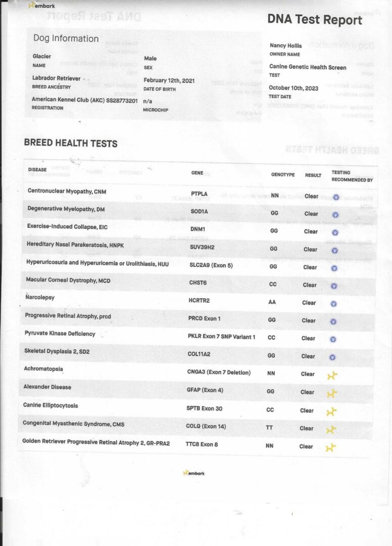 Glacier's DNA pg 1