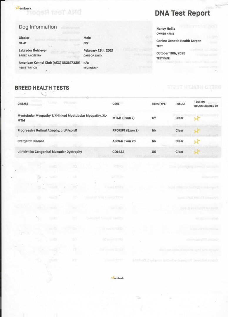 Glacier's DNA pg 2