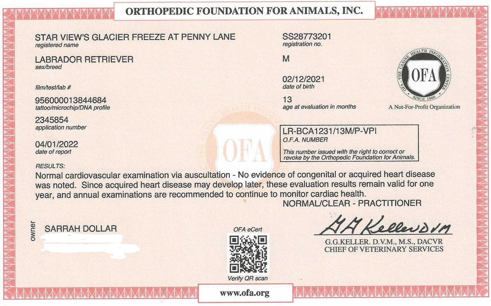 Glacier's OFA Cardiac