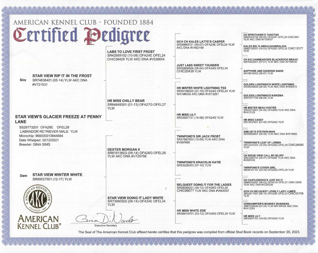 Glacier's Pedigree