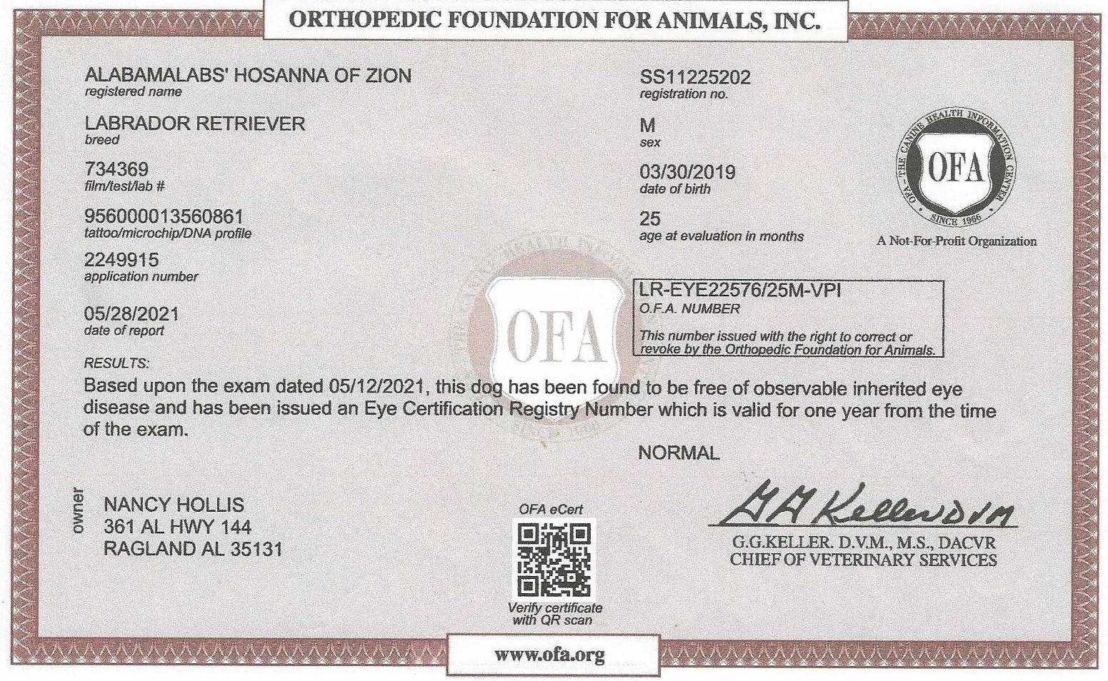 Hoss' OFA Eye Certification.jpg_1683056496