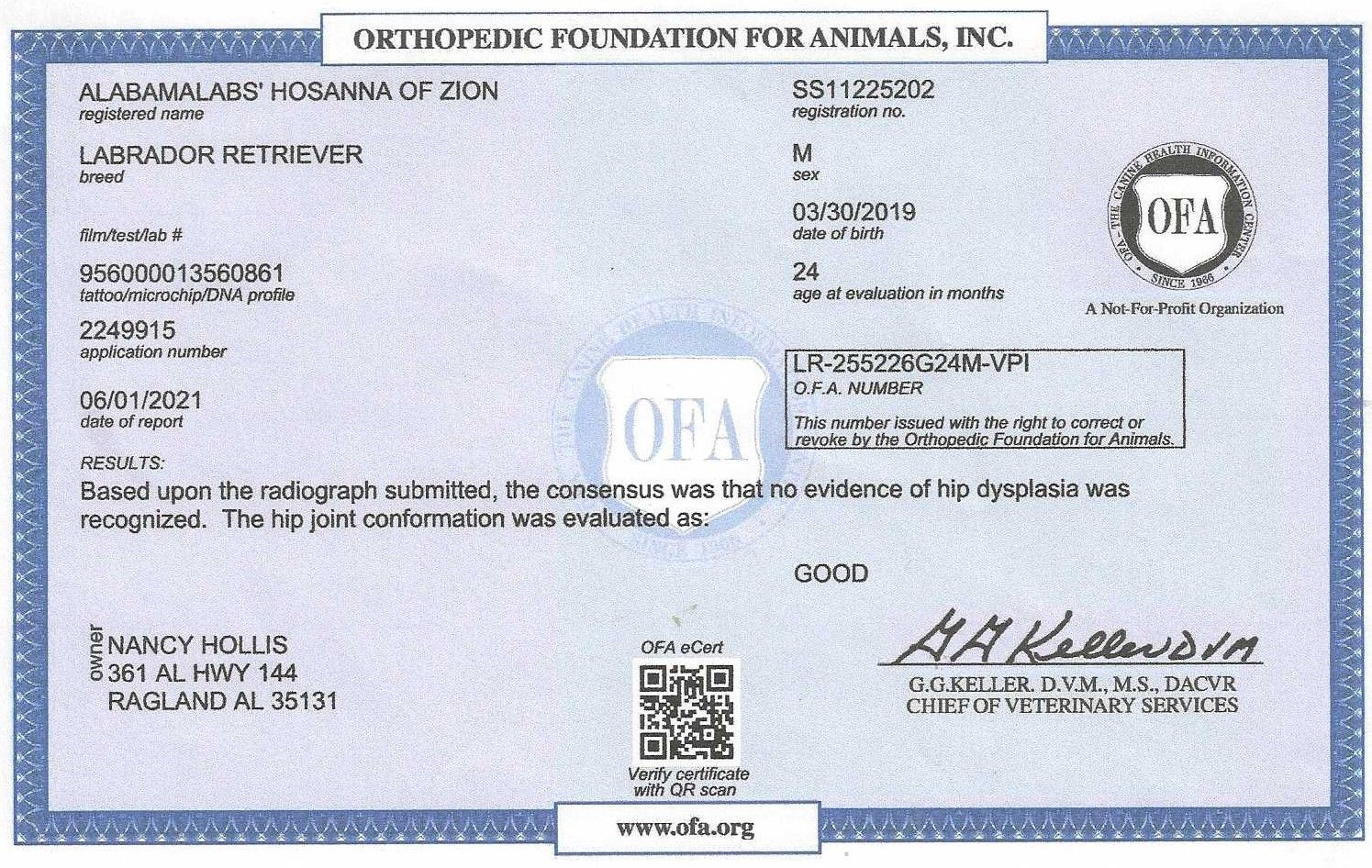 Hoss' OFA Hip Certification.jpg_1683056471
