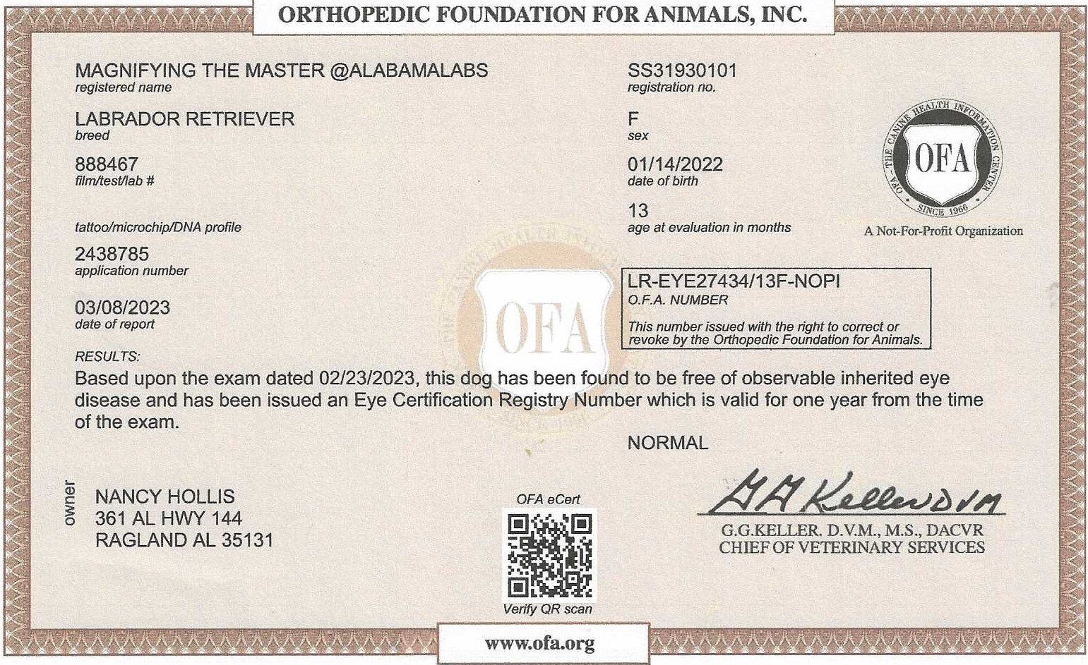 Majesty's OFA Eye Certification