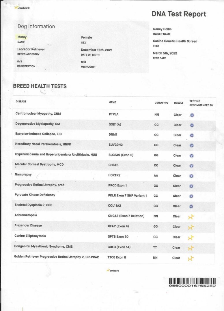 Mercy's DNA pg 1