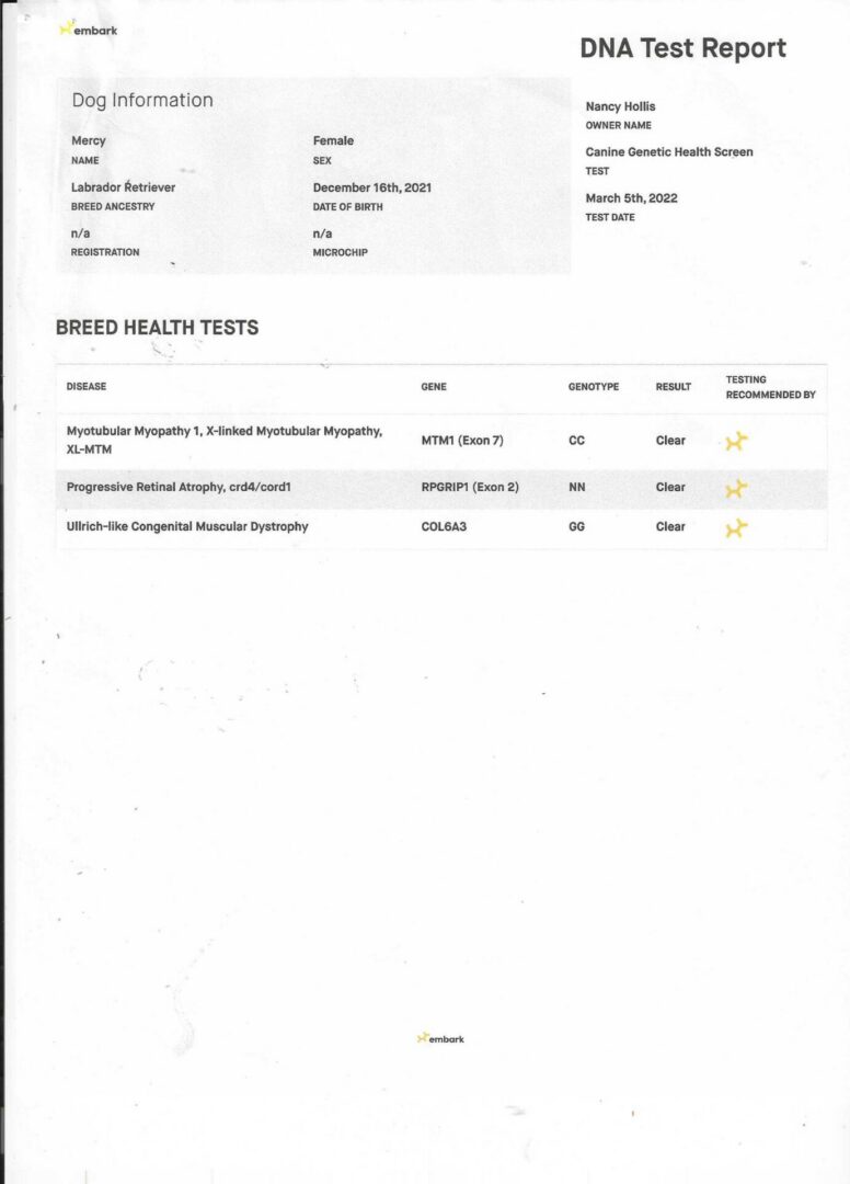Mercy's DNA pg 2