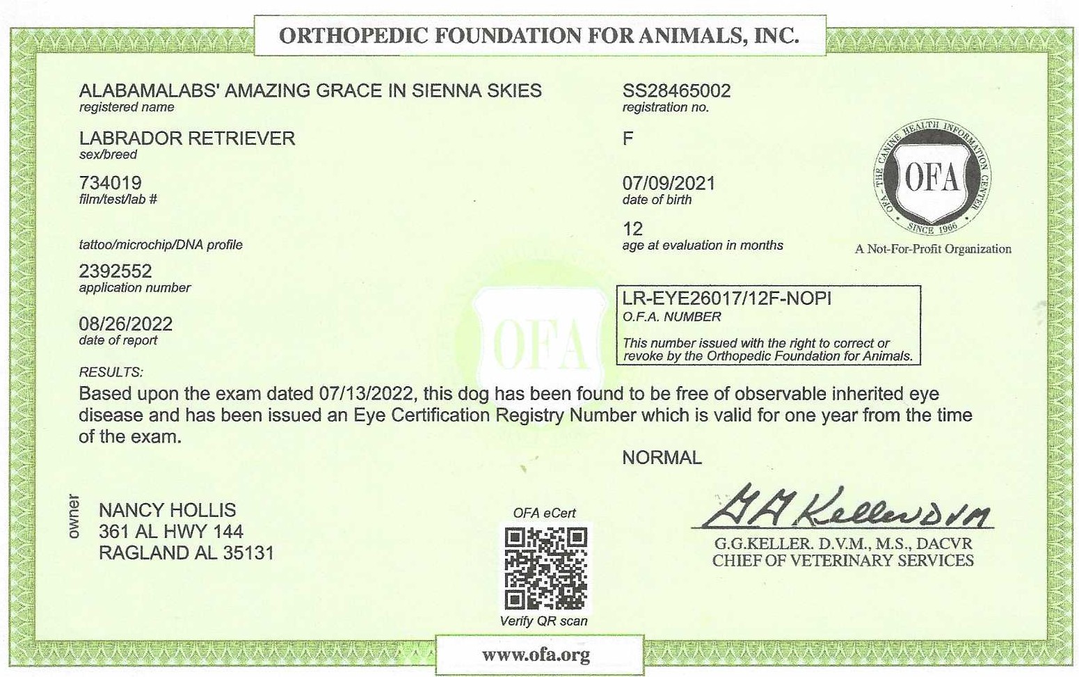 Sienna's OFA Eye Certification