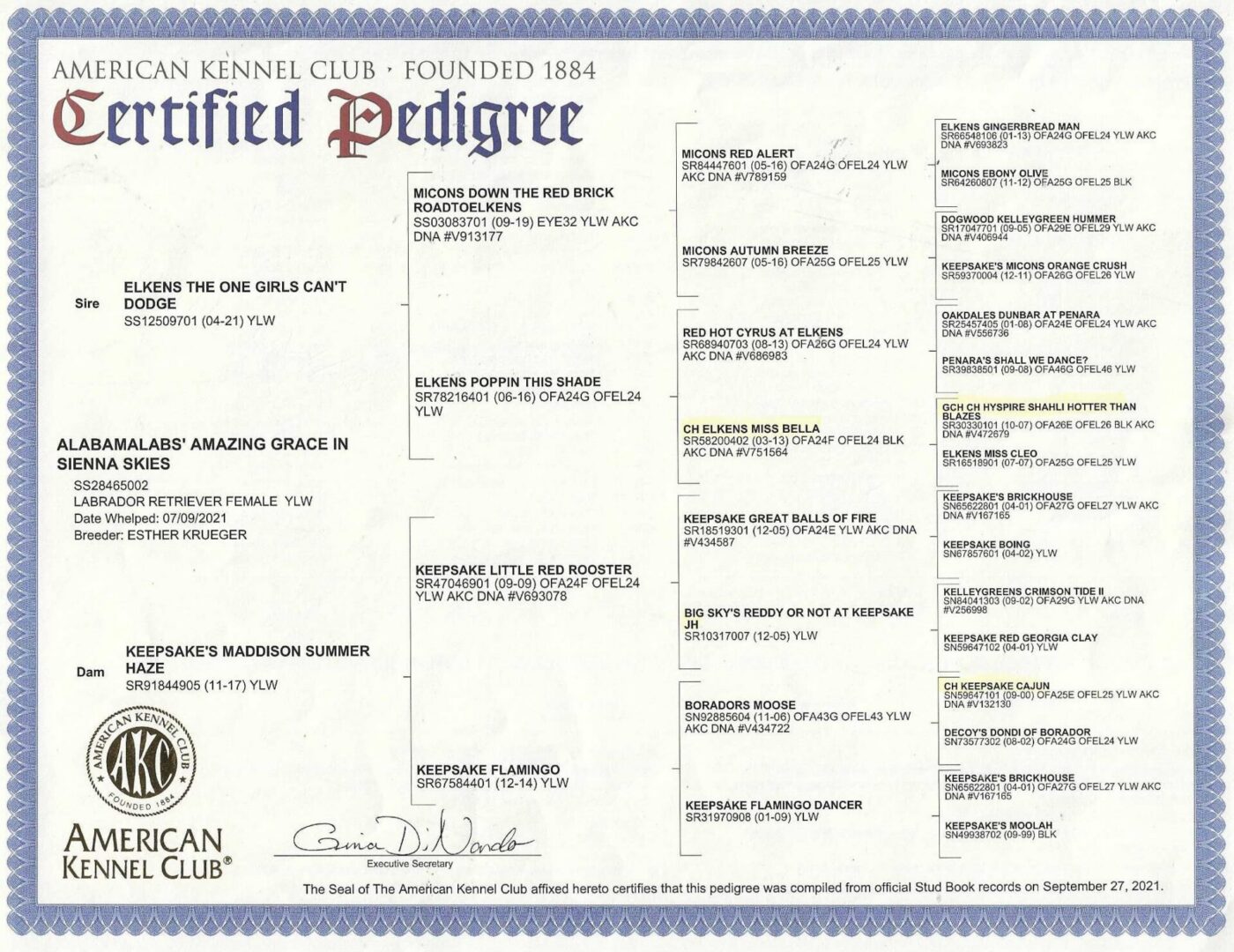 Sienna's Pedigree