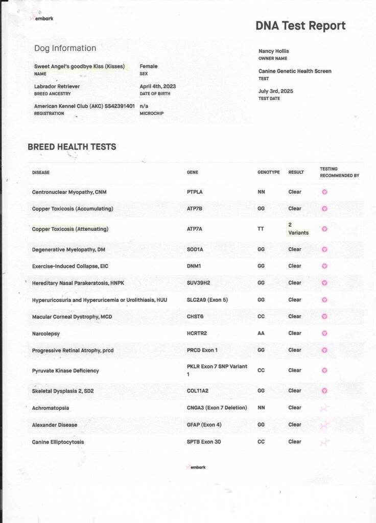 Kisses DNA pg 1