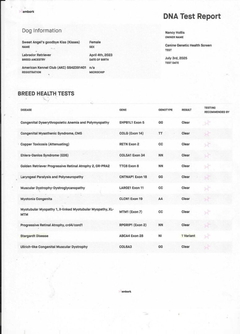 Kisses DNA pg 2