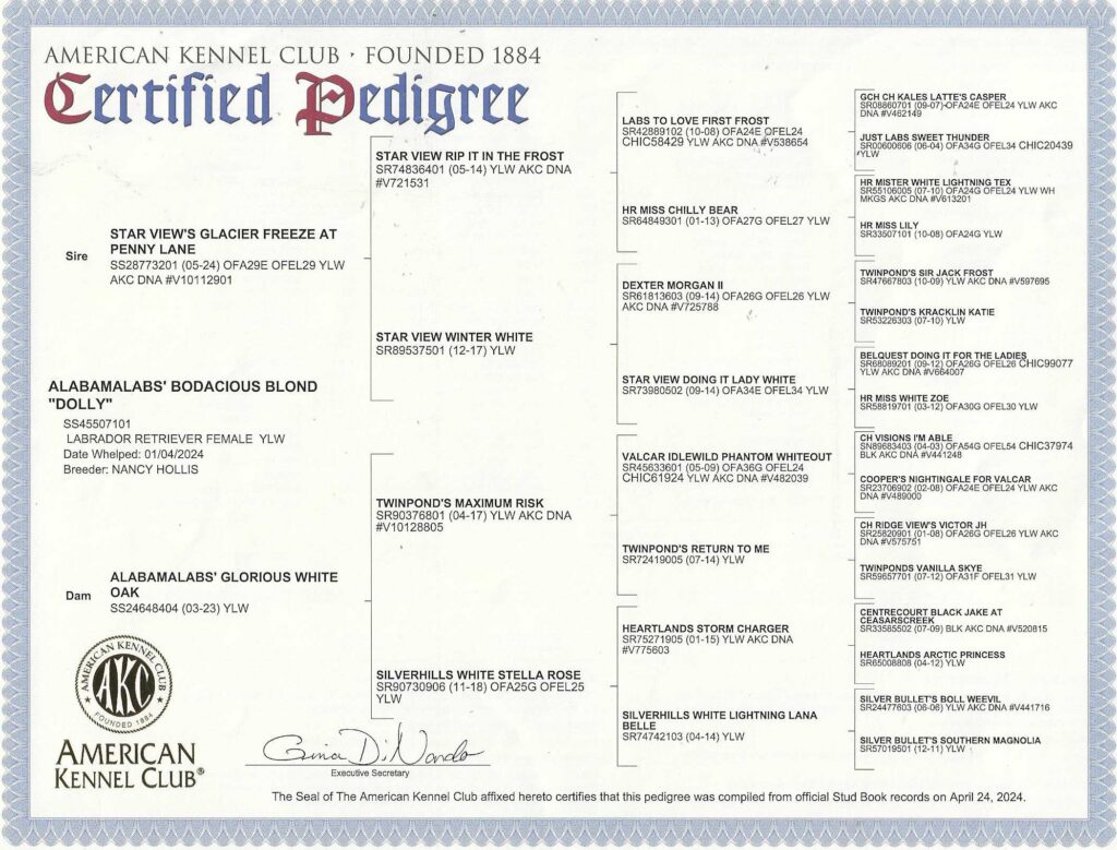 Dolly's Pedigree