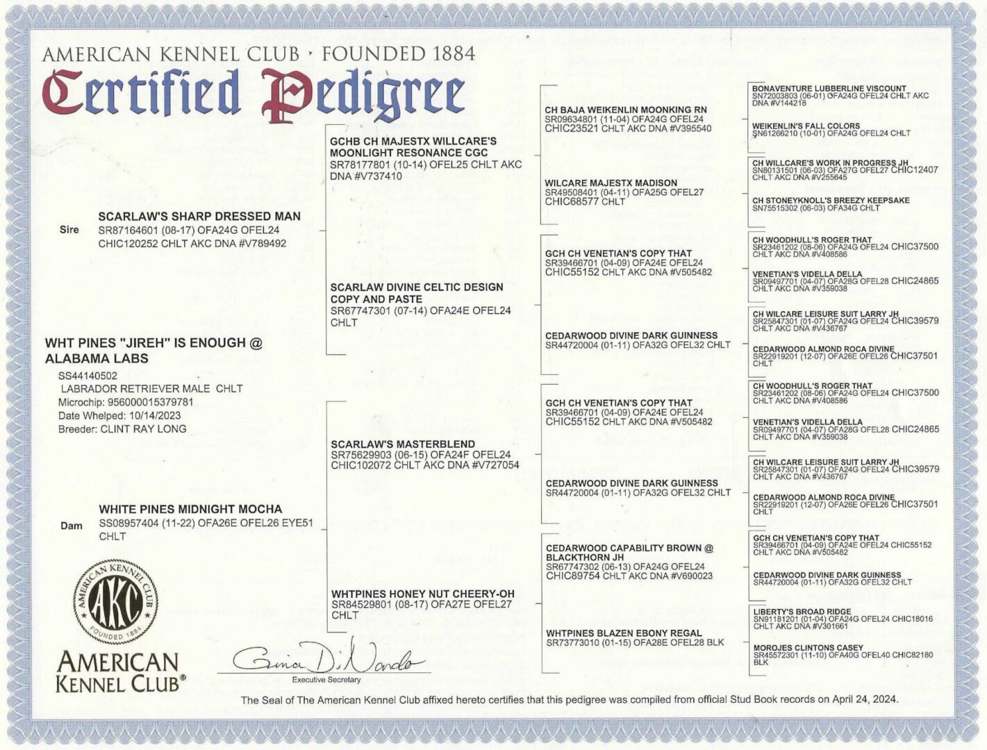Jireh Pedigree
