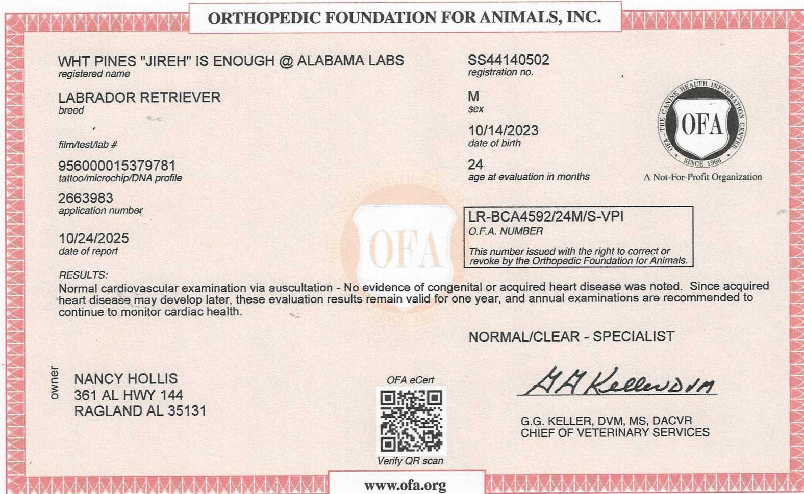Jireh's OFA Cardiac