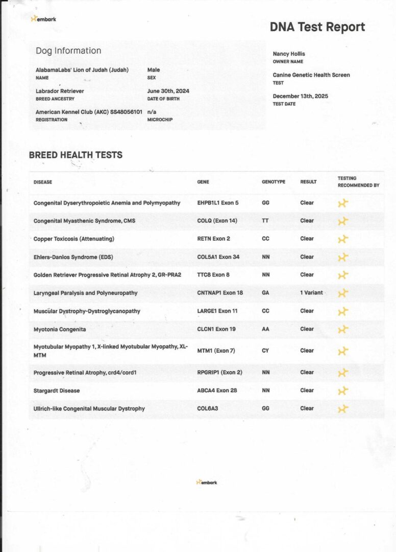 Judah's DNA pg 2