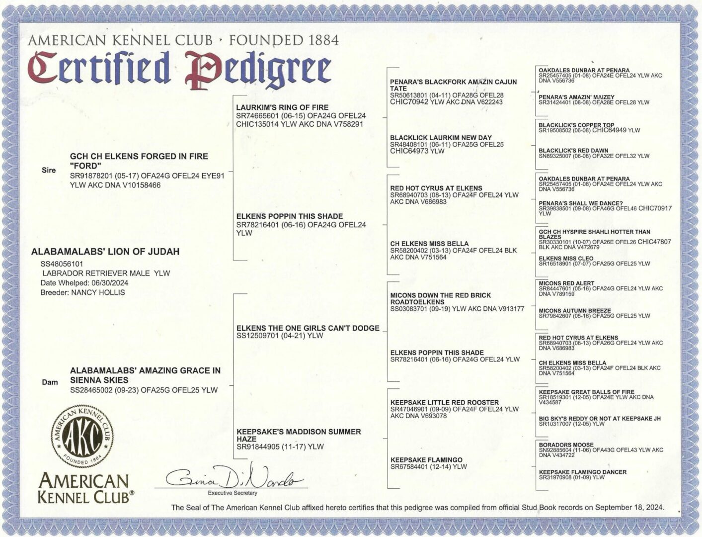 Judah's Pedigree