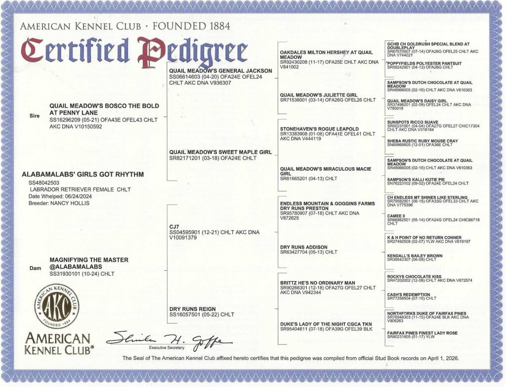 Memphis Pedigree