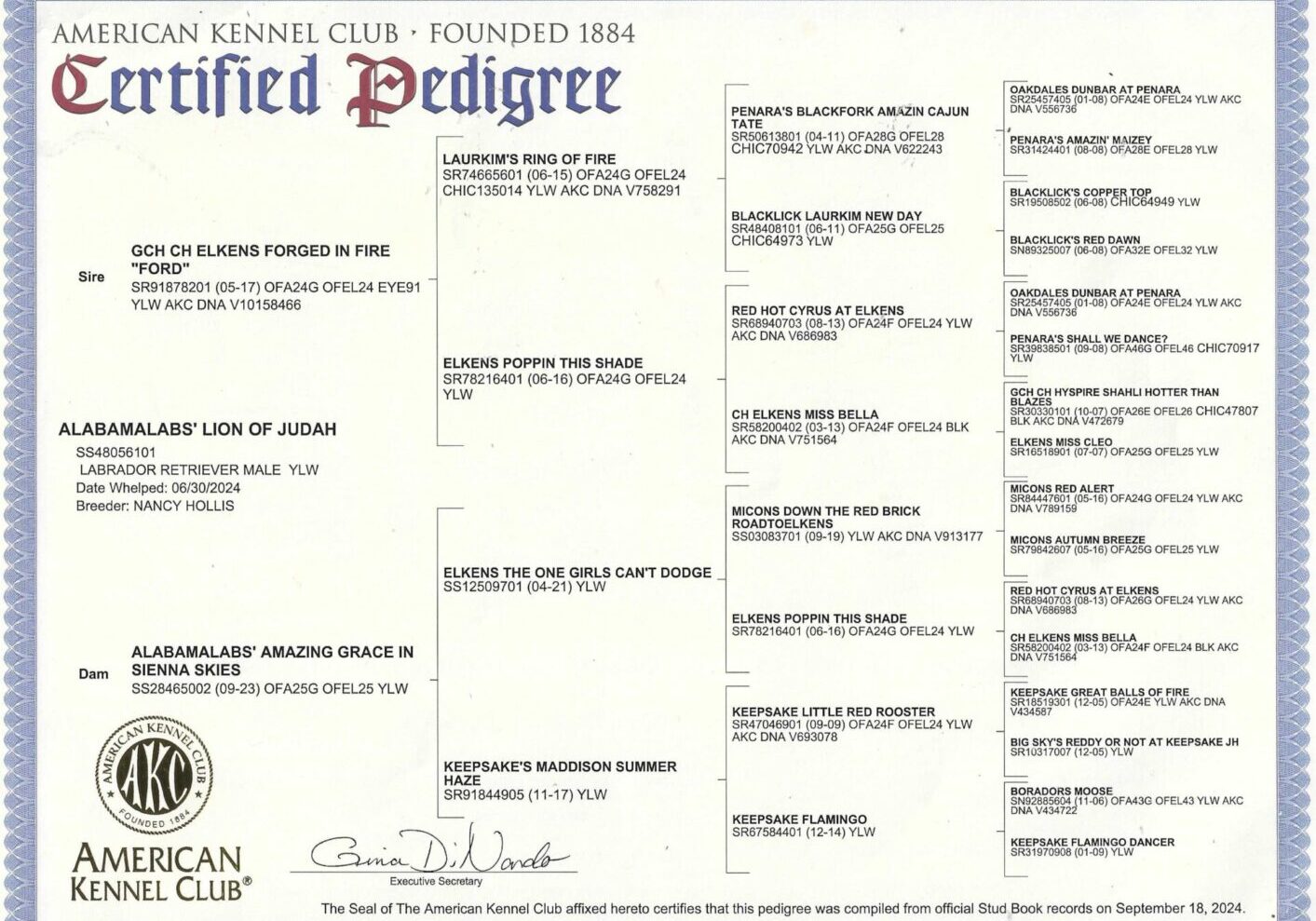 Judah's Pedigree